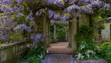 Italian Garden